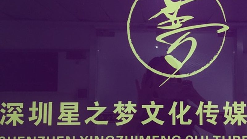 公益慈善活动策划方案：关键内容与要点解析